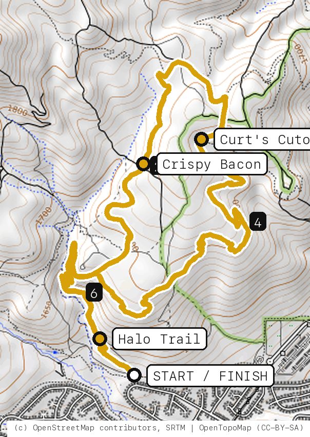 Map of Halo Effect