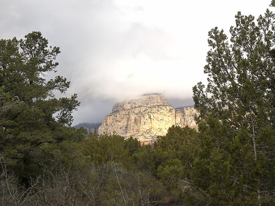 Near Long Canyon Trail