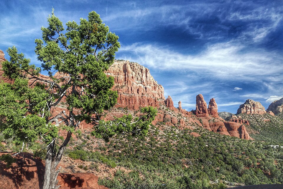 Near Yavapai Vista Trailhead