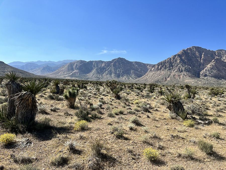 Near Lil' Daytona junction