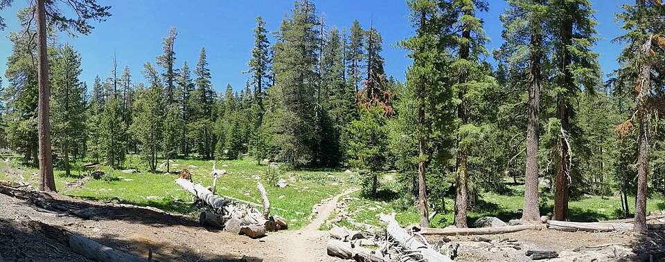 Near Watson Lake junction (turnaround)