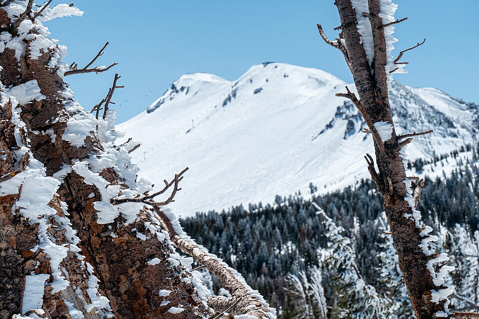 Near Mountain View Trailhead (Minaret Vista)