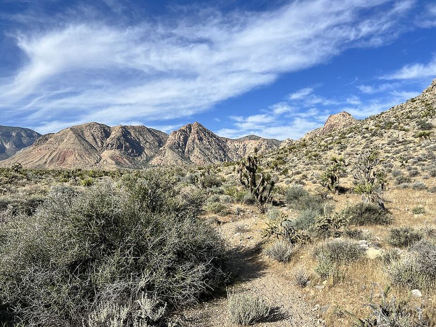 Near Badger Pass