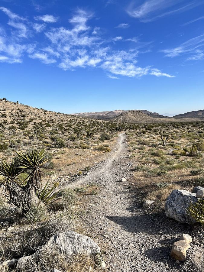 Near Late Night Trailhead