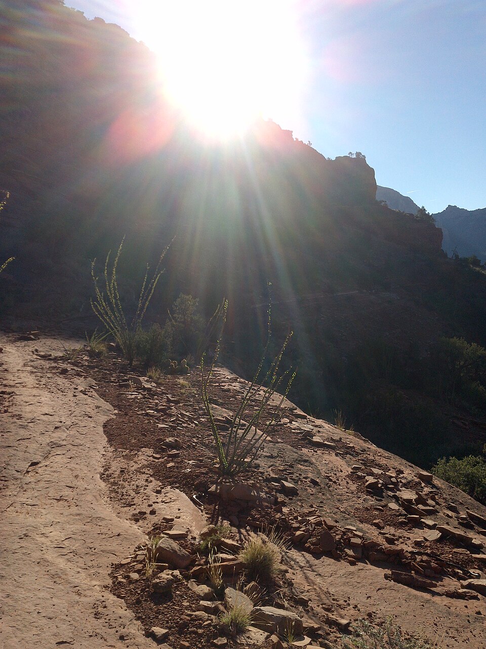 Near Mescal Trail