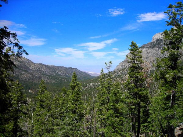 Lee Canyon Ski Resort Area Top of Ski Lift Ride Mt. Charleston
