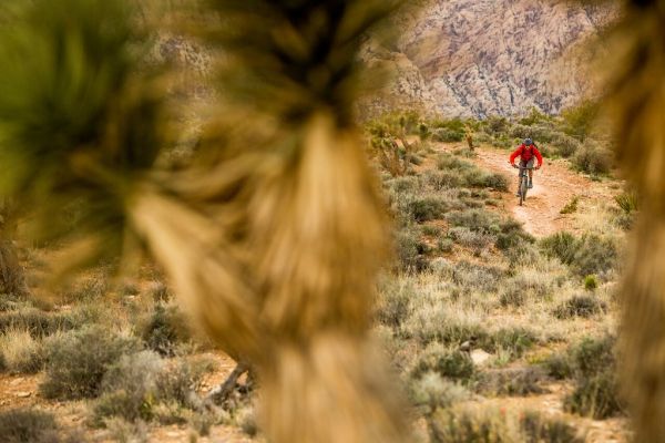 Cottonwood Valley Trail System in Nevada