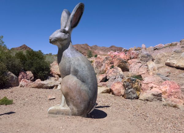 jackrabbit sculpture - Bootleg Canyon Park - Boulder City - Nevada ... (cell)