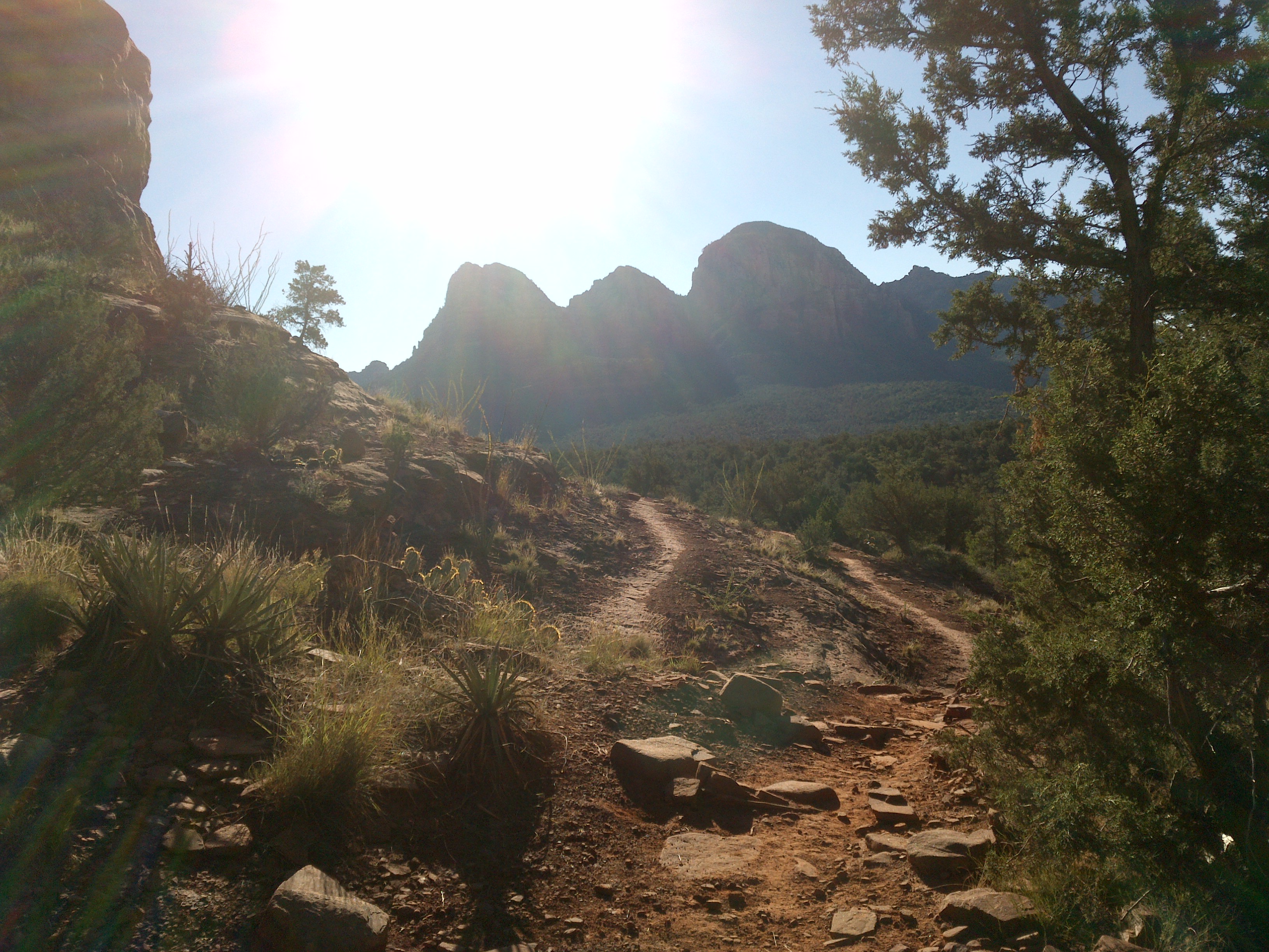 Mescal Trail, Sedona, Arizona - panoramio (6)