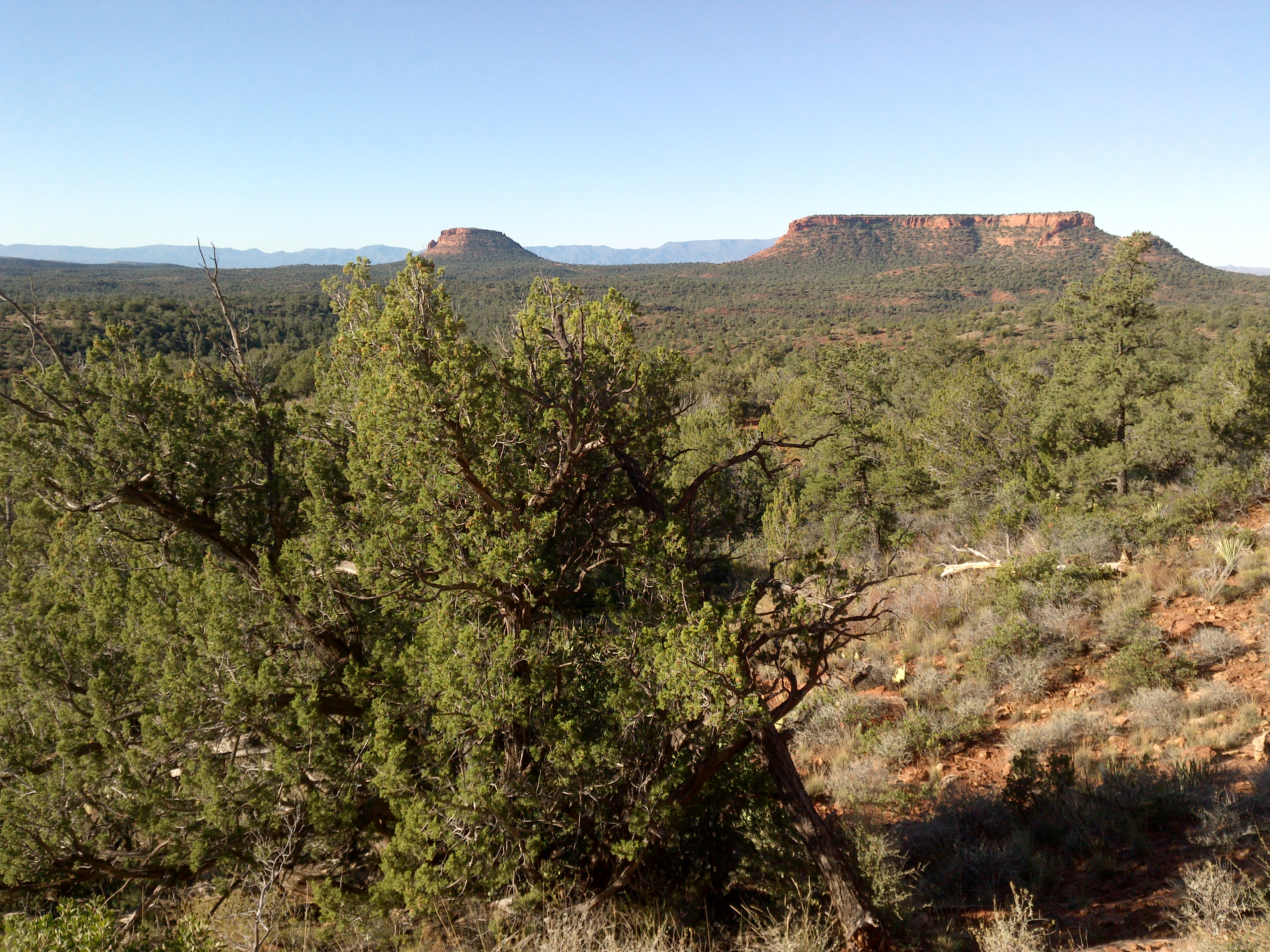 Mescal Trail, Sedona, Arizona - panoramio (4)
