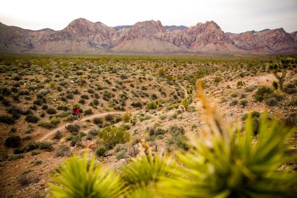 Cottonwood Valley Trail System in Nevada
