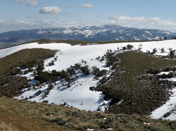 Sierra Nevada from Peavine Peak